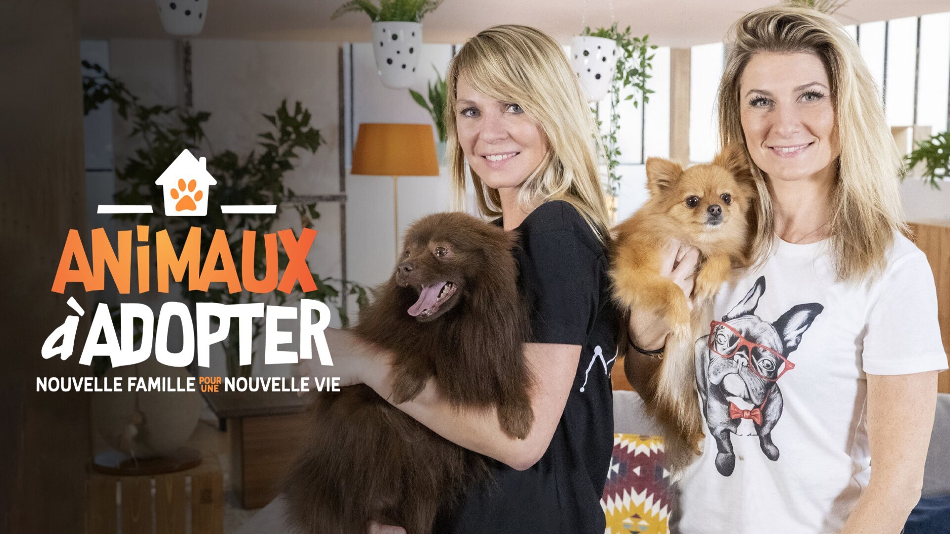 Vignette du programme télé Animaux à adopter