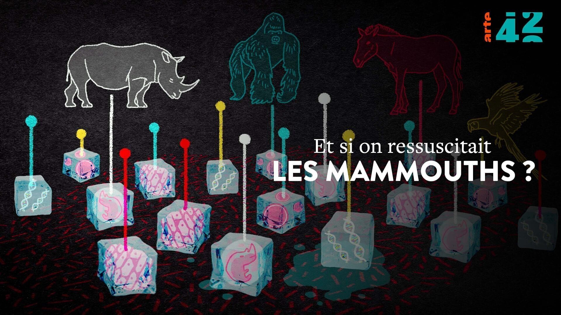 Vignette du programme télé 42, la réponse à presque tout