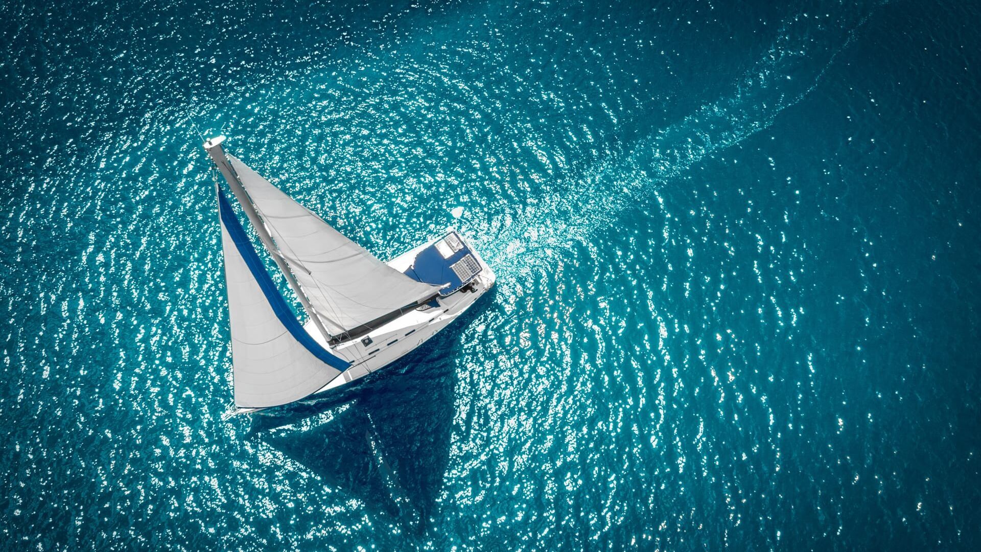 Vignette du programme télé L'année Sail GP