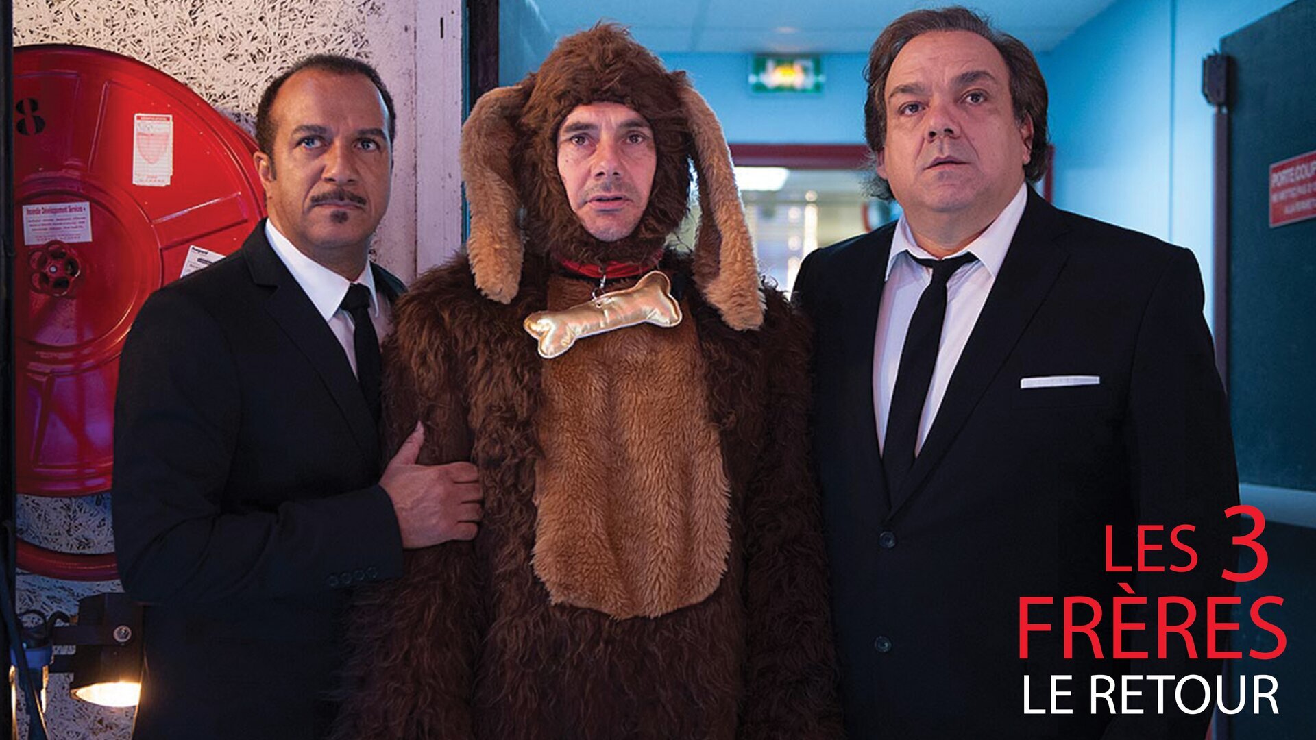 Vignette du programme télé Les trois frères, le retour