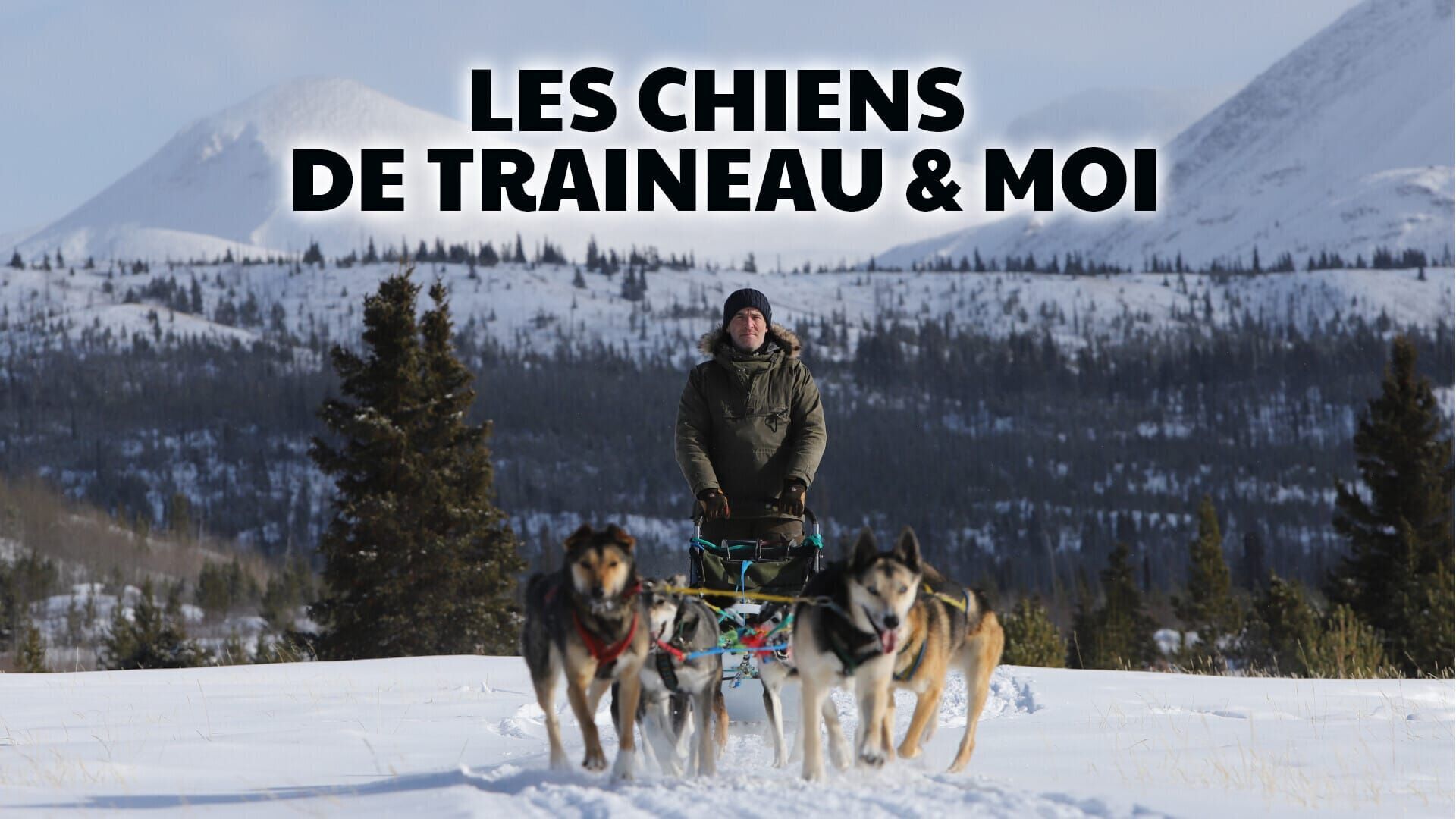 Vignette du programme télé Les chiens de traineau & moi