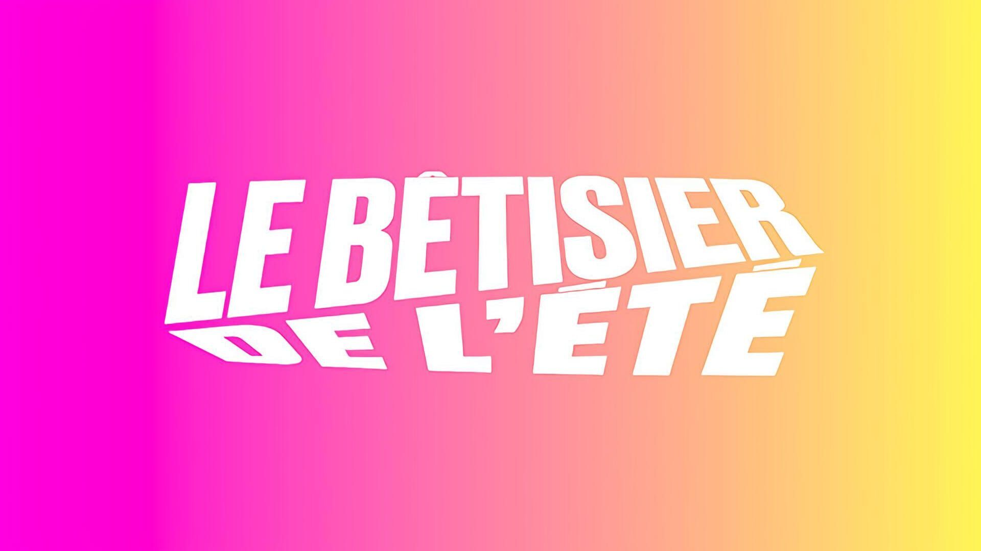 Vignette du programme télé Le bêtisier de l'été