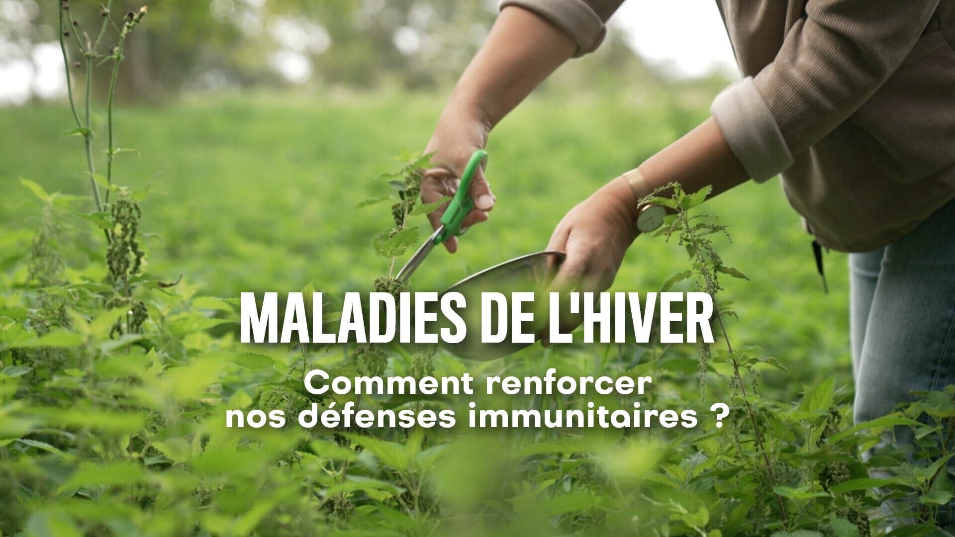 Vignette du programme télé Maladies de l'hiver : comment renforcer nos défenses immunitaires ?