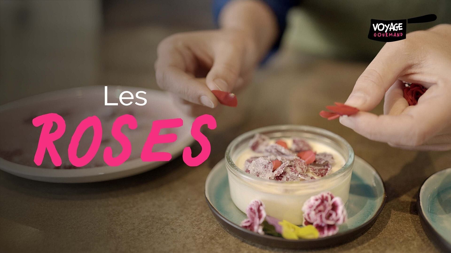 Vignette du programme télé Voyage gourmand