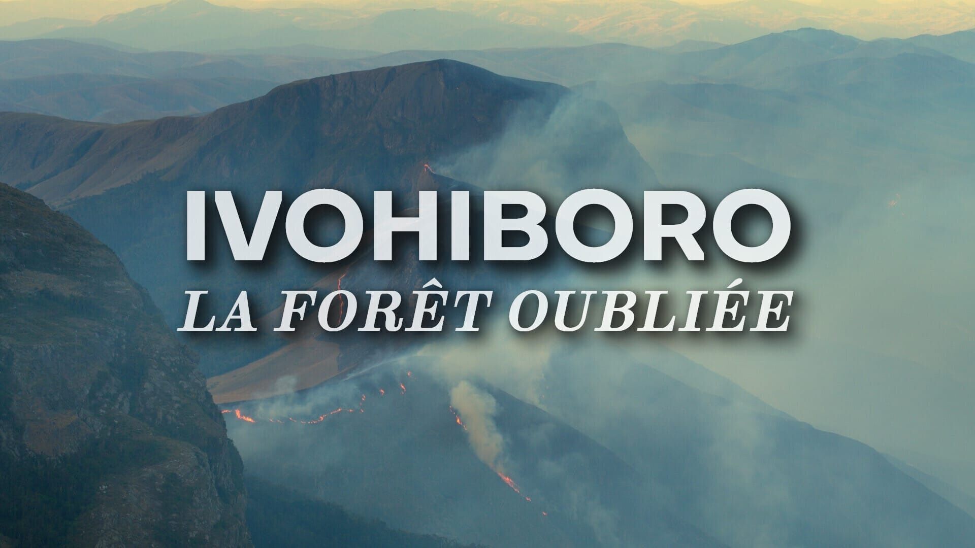 Vignette du programme télé Ivohiboro, la forêt oubliée