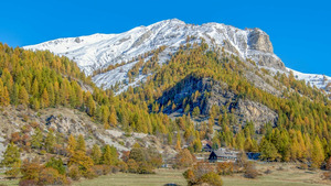 Vignette du programme télé L'Anneau - Qui en sortira vainqueur ?