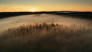 Vignette du programme télé Une planète, sept mondes sauvages (Antarctique) S1 (1/7)