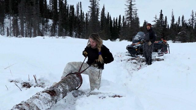 Vignette du programme télé Seuls face à l'Alaska - Saison 13