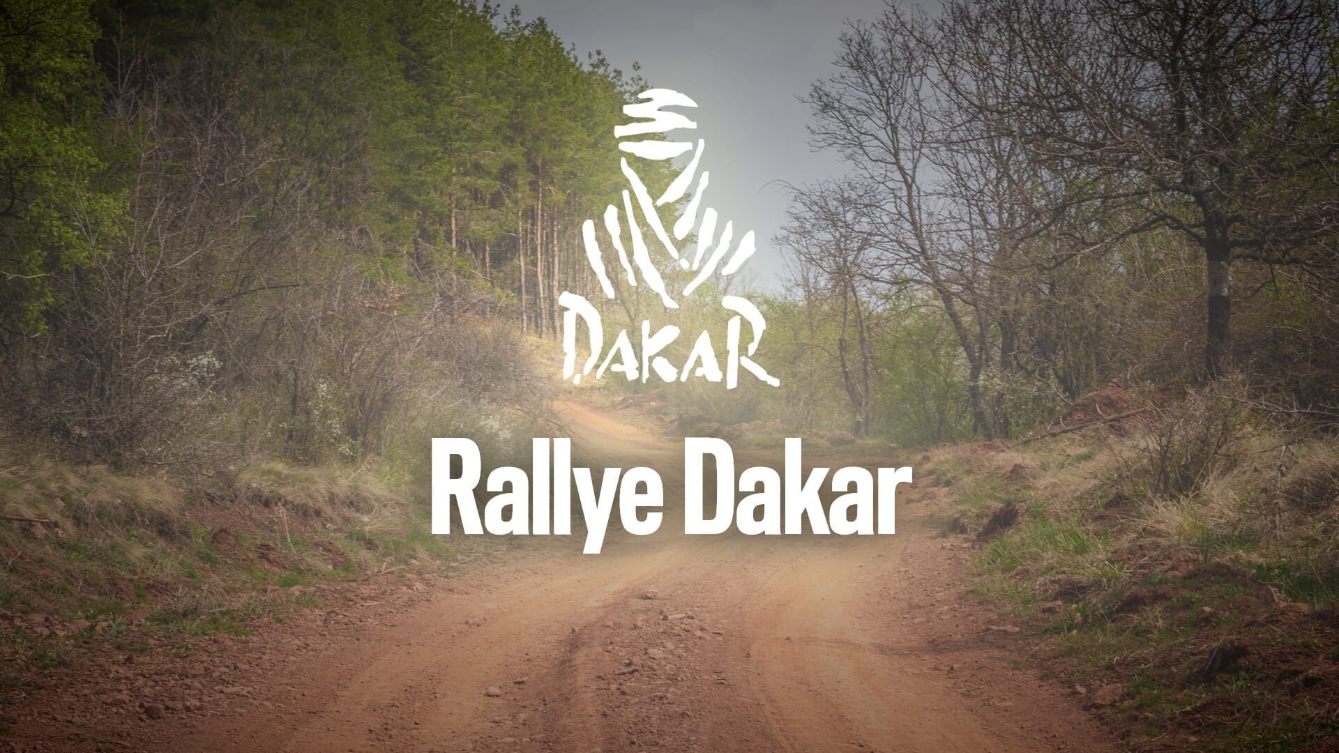 Vignette du programme télé Rallye : Rallye Dakar