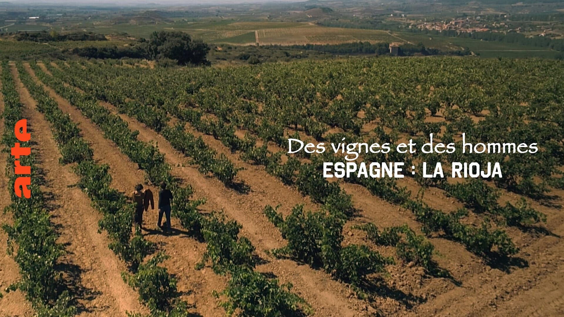 Vignette du programme télé Des vignes et des hommes