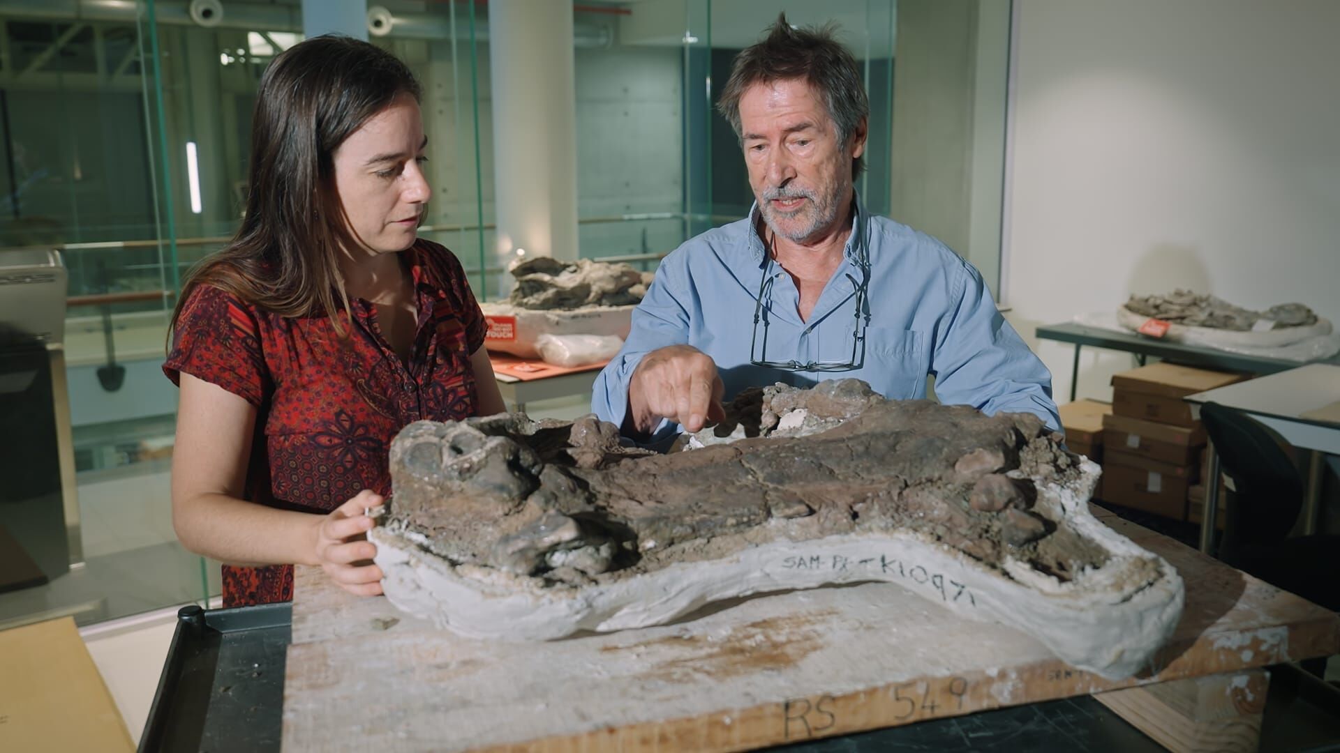 Vignette du programme télé Aux origines des mammifères, le monde avant les dinosaures