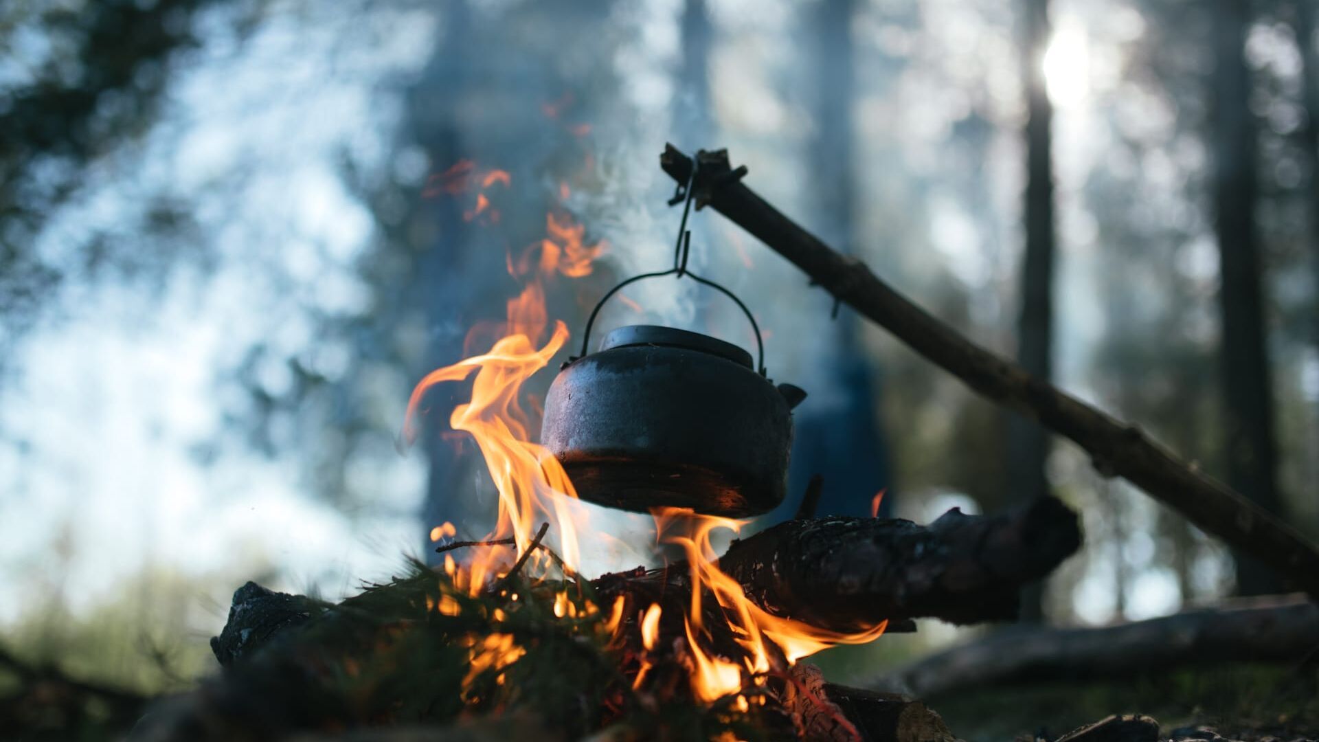 Vignette du programme télé Retour à l'instinct primaire : Adam & Eve