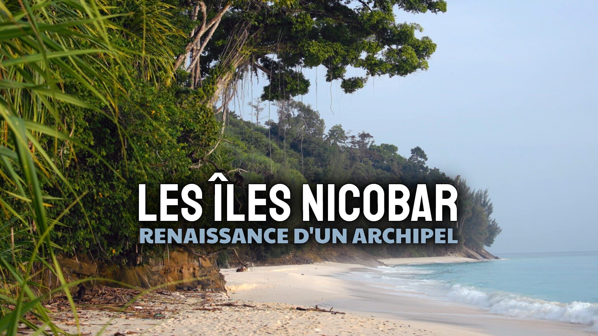 Vignette du programme télé Les îles Nicobar, renaissance d'un archipel