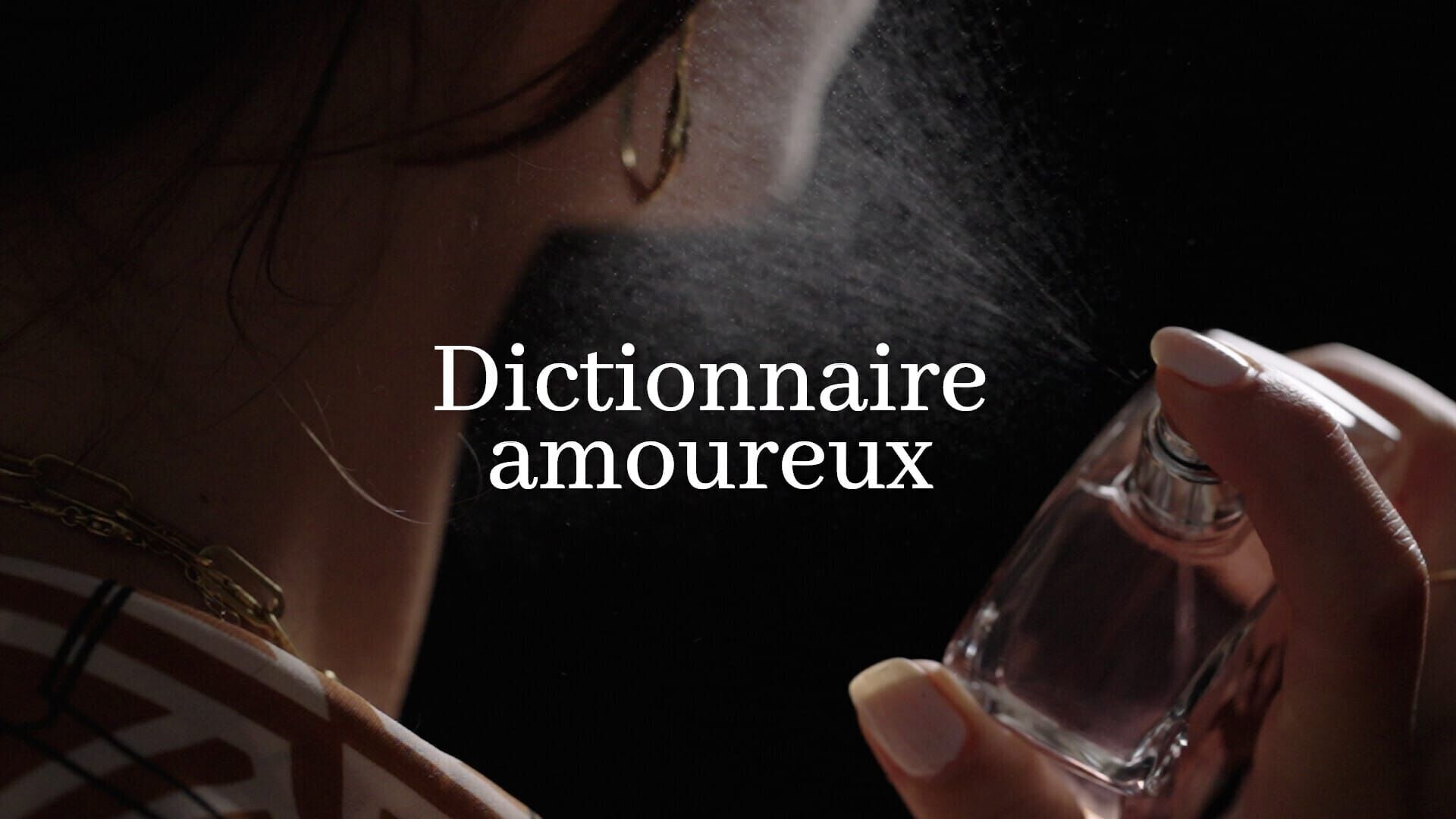 Vignette du programme télé Dictionnaire amoureux