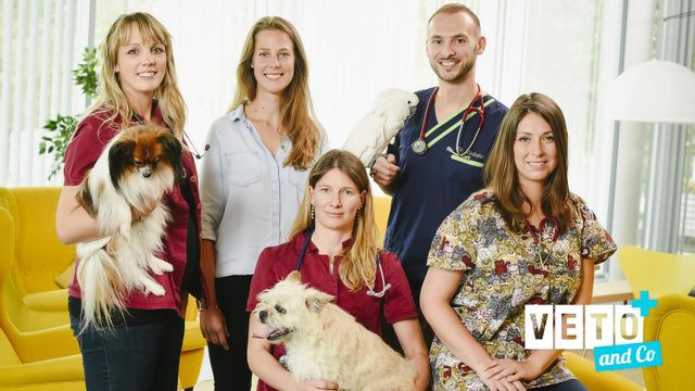 Vignette du programme télé Véto & Co - Saison 5