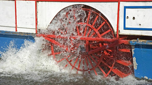 Vignette du programme télé Les traqueurs de fantômes (Tous les fantômes sur le pont) S9 (5/26)