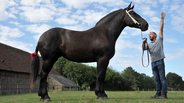 Vignette du programme télé GEO Reportage