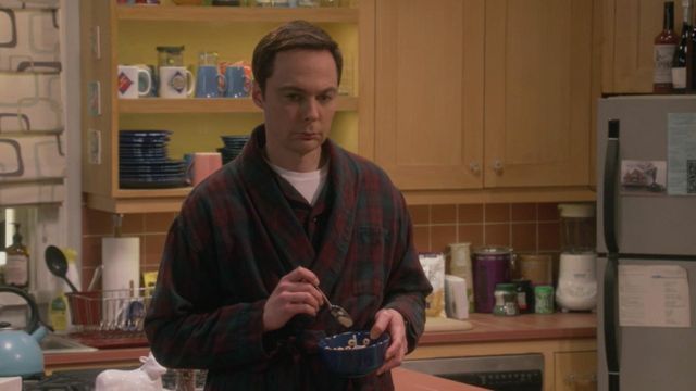 Vignette du programme télé Big Bang Theory - Saison 12