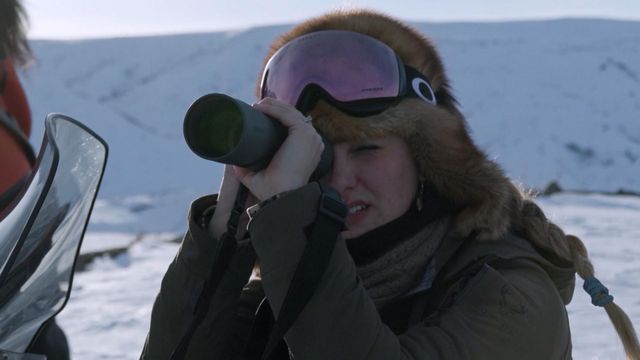 Vignette du programme télé Seuls face à l'Alaska - Saison 13
