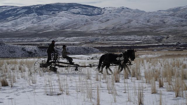 Vignette du programme télé Seuls face à l'Alaska - Saison 12