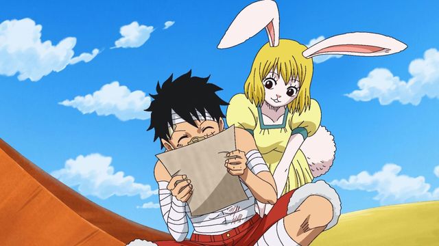 Vignette du programme télé One Piece