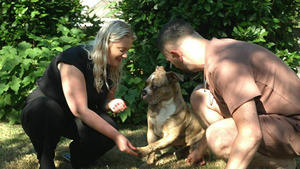 Vignette du programme télé Animaux à adopter : nouvelle famille pour une nouvelle vie (Black Out et ses chatons, Howard et Alpha les chiots qui se réconfortent) S8 (n°9)