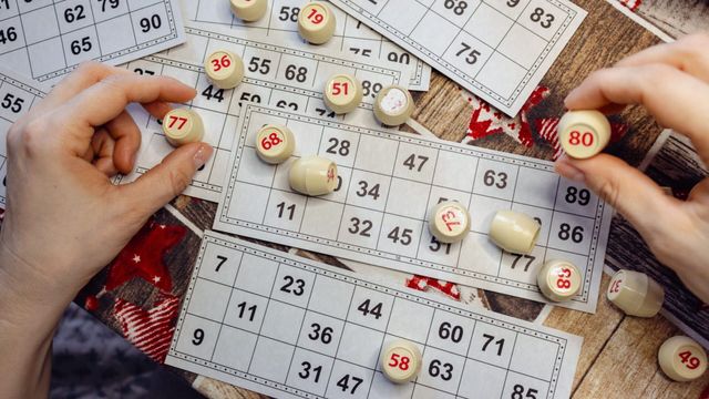 Vignette du programme télé Arnaques !