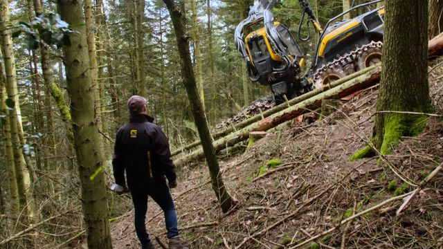 Vignette du programme télé Bûcheron : un métier à hauts risques - Saison 2