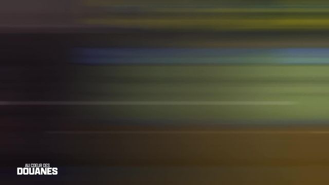 Vignette du programme télé Au coeur des douanes : Espagne - Saison 4