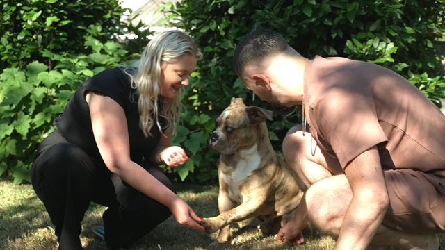 Vignette du programme télé Animaux à adopter : nouvelle famille pour une nouvelle vie - Saison 8