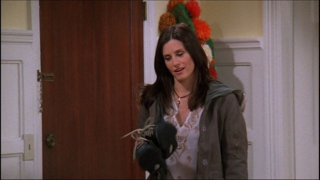 Vignette du programme télé Friends - Saison 9