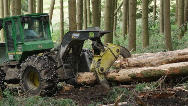 Vignette du programme télé Bûcheron : un métier à hauts risques - Saison 1
