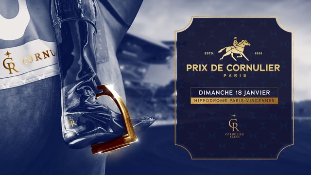 Vignette du programme télé Courses hippiques : Prix de Cornullier