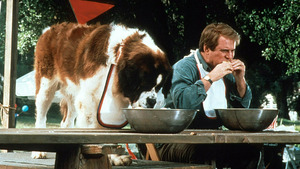 Vignette du programme télé Beethoven 2