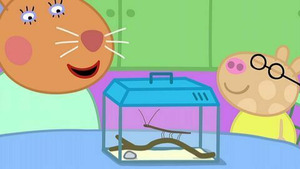 Vignette du programme télé Peppa Pig (La compétition d'animaux de compagnie) S4 (21/52)