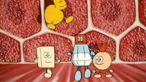 Vignette du programme télé Il était une fois... la vie (Et la vie va...) S1 (26/26)