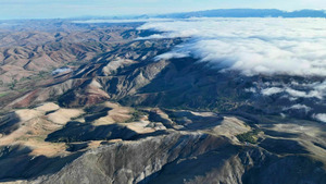 Vignette du programme télé Ivohiboro, la forêt oubliée