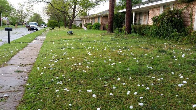 Vignette du programme télé Nature meurtrière - Saison 1