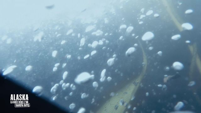 Vignette du programme télé La ruée vers l'or : Dakota Boys - Saison 5