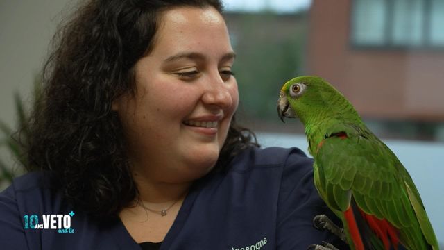 Vignette du programme télé Véto & Co - Saison 10