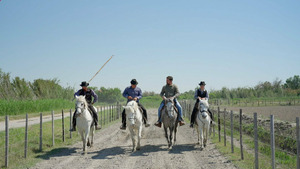 Vignette du programme télé Les 100 lieux qu'il faut voir (La Provence de Van Gogh) S13 (n°1)