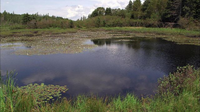 Vignette du programme télé Le mystère d'Oak Island - Saison 2