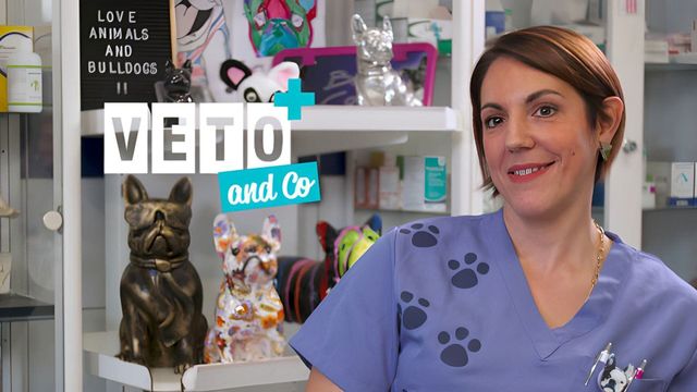 Vignette du programme télé Véto & Co - Saison 9