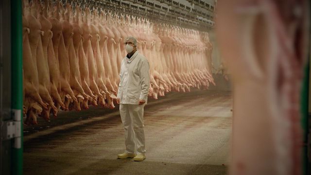 Vignette du programme télé Qui peut-on manger ? - Saison 1