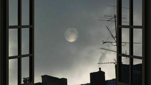 Vignette du programme télé La nuit France 5