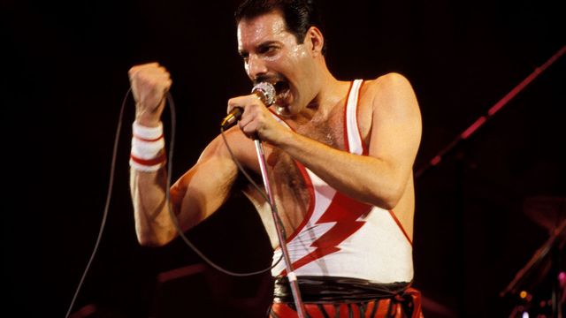 Vignette du programme télé L'adieu à Freddie Mercury