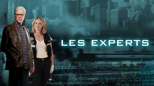 Vignette du programme télé Les experts - Saison 10