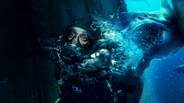 Vignette du programme télé La dernière plongée