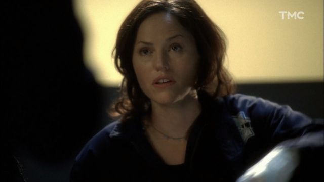 Vignette du programme télé Les experts - Saison 10