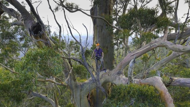 Vignette du programme télé Le monde de Jamy